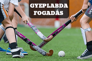 Gyeplabda fogadás